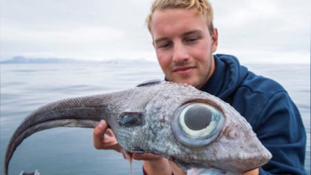 Un pêcheur remonte une sorte de «requin fantôme» à 800 mètres de profondeur, au large de la Norvège