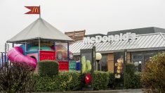 Seine-et-Marne : la réouverture d’un McDonald’s provoque un gigantesque embouteillage