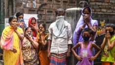 Pour retrouver sa famille, un Indien parcourt 1400 km déguisé en vendeur d’oignons