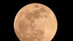 Une “Super Lune” rose  brillera dans le ciel mardi 7 avril