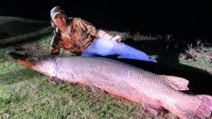 Un pêcheur de 18 ans attrape un énorme garpic alligator de plus de 2 mètres de long et pesant plus de 85 kg