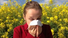 Pollens et allergies: des facteurs aggravants pour les malades du coronavirus