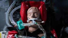 Une nouvelle étude recommande d’avoir moins recours aux respirateurs dans certains scénarios de traitement du covid-19