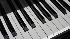[Vidéo] Montpellier : deux fois par semaine, une pianiste joue dans la cour de l’Ehpad où vit sa mère