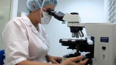 L’Académie de médecine soutient le laboratoire vétérinaire d’Indre-et-Loire pouvant effectuer 1.000 tests de coronavirus par jour