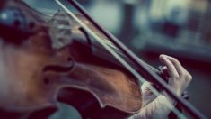 Confinement : un violoniste de l’Opéra de Bordeaux donne des concerts au pied de deux résidences pour aînés