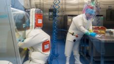Le Canada finance la recherche sur le Covid-19 en collaboration avec le controversé laboratoire P4 du virus de Wuhan