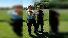 Dordogne : elle abandonne son chiot en plein confinement, la gendarmerie la retrouve grâce à la puce de l’animal