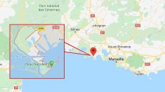 Camargue : 53 cadavres d’oiseaux marins protégés découverts sur une plage de Port-Saint-Louis
