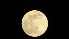La dernière super-Lune la plus proche de l’année illuminera le ciel le 7 mai