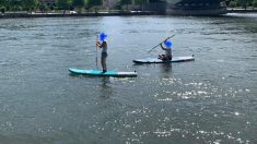Rouen : en plein confinement, ils sont surpris en train de faire du paddle sur la Seine