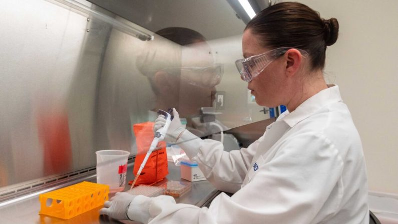 Un médecin examine des échantillons de protéines dans les laboratoires Novavax à Rockville, Maryland, l'un des laboratoires qui développent un vaccin contre le virus du PCC, le 20 mars 2020. (Andrew Caballero-Reynolds/AFP/Getty Images) 