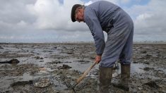 Côtes-d’Armor : piégé par la marée, un pêcheur amateur de 70 ans dérive toute une nuit dans une eau à 12° C