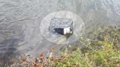 Un homme sauve et adopte le chien qu’il a trouvé abandonné dans une cage dans les eaux glacées d’un lac