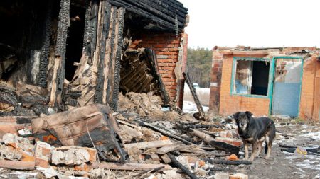 Une courageuse propriétaire de chien meurt en essayant de sauver six chiots dans sa maison en feu