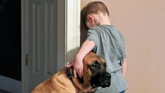 Un chien accompagne un garçon de 3 ans pendant sa punition pour qu’il ne se sente pas seul