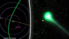 Unique dans une vie : une comète verte avec une queue de 10 millions de kilomètres bientôt visible à l’œil nu