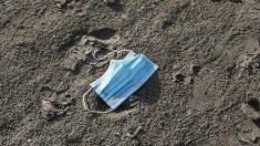 Masques et lingettes abandonnés sur les plages : « un impact dramatique » pour l’environnement et le monde marin