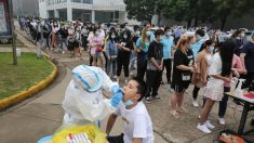 Le virus du PCC pourrait être apparu à Wuhan dès l’été 2019