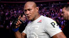 L’UFC va reprendre ses combats en Floride, malgré le test positif d’un participant