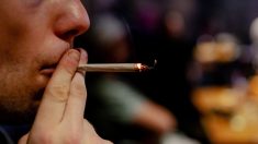 Rennes : des amendes pour les fumeurs de cannabis dès le 1er juin, « un effet dissuasif »