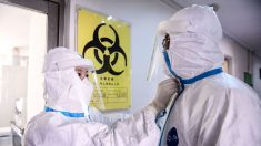 Coronavirus: l’OMS « pas invitée » à se joindre aux enquêtes chinoises sur le Covid-19