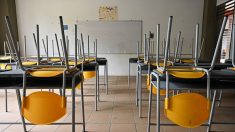 Haute-Garonne : une école fermée après un cas du virus du PCC au sein du personnel
