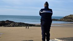 « Nos plages sont nos parcs et jardins »… La Bretagne appelle à « libérer les plages » le 11 mai