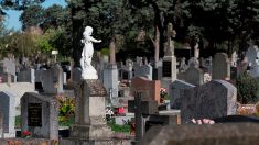 Cimetière de l’Est à Nice : des tombes profanées, « des croix arrachées et jetées au sol »