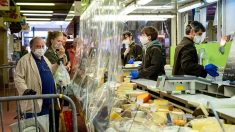 Crise du fromage: certaines vaches rient, d’autres se battent pour « sauver la gastronomie »