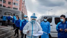 Une fuite de documents officiels chinois laisse supposer de graves reprises du virus dans les hôpitaux du nord de la Chine