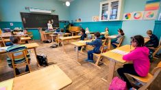 Lycées et universités rouvrent « en douceur » en Islande