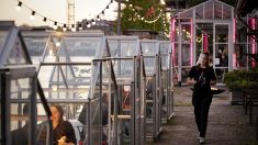 Amsterdam : des petites serres séparées pour pouvoir manger au restaurant