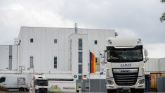 Allemagne: hausse des contaminations dans les abattoirs