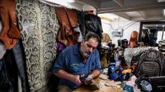 Un artisan de Floride fabrique des masques en peau de python et d’iguane