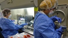 Israël: 100.000 tests pour prévenir la « seconde vague » de coronavirus