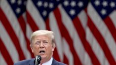 Trump annonce que les Etats-Unis mettent fin à leur relation avec l’OMS