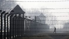 Auschwitz : des objets cachés par des déportés ont été découverts dans l’ancien camp