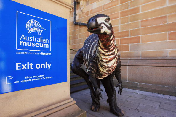 -Illustration- Un intrus a pénétré au musée Australien. Photo by Lisa Maree Williams/Getty Images.