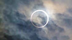 Un fabuleux spectacle cosmique s’annonce pour juin 2020: voici les éclipses solaires et lunaires en vedette et ce que vous devez savoir