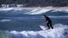 Attaqué par un requin, un jeune surfeur français le repousse à coups de poing