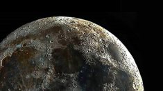 Un astrophotographe capture «l’image la plus nette du monde» des cratères de la Lune