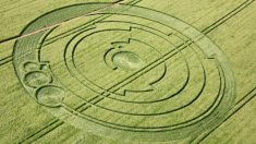 Des mystérieux cercles découverts dans un champ à une vingtaine de km de Toulouse