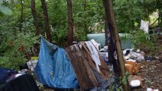 Vienne : des bois privés souillés par d’innombrables déchets polluants laissés par des migrants