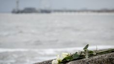 5 surfeurs meurent aux Pays-Bas lorsqu’une énorme épaisseur de mousse marine a empêché les secours d’arriver