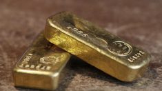 Loir-et-Cher : des enfants construisent des cabanes et découvrent deux lingots d’or