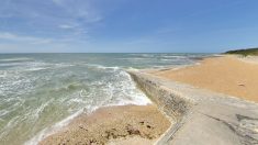 Île d’Oléron : pour le 11 mai, le maire de Saint-Pierre-d’Oléron annonce la réouverture des plages