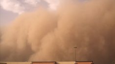Vidéo – Niamey, la capitale du Niger, recouverte par une spectaculaire tempête de sable