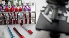 Des scientifiques italiens affirment avoir trouvé un vaccin contre le coronavirus