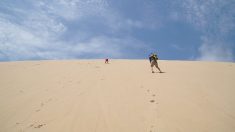 Nouvelle-Aquitaine : la Dune du Pilat rouvre au public ce weekend
